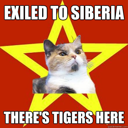 exiled to siberia there's tigers here  Lenin Cat