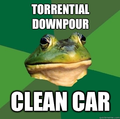 Torrential Downpour Clean Car - Torrential Downpour Clean Car  Foul Bachelor Frog