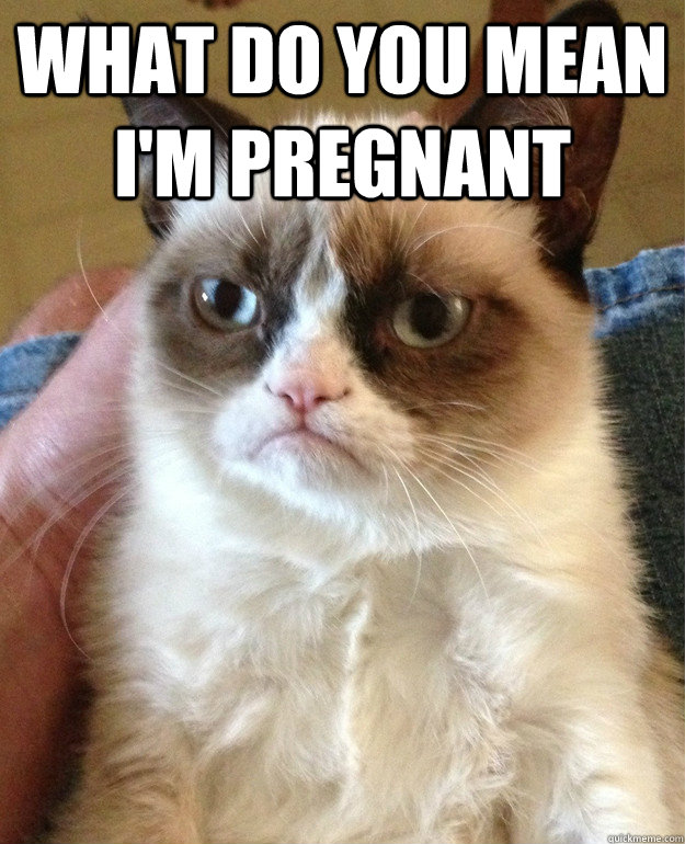 What do you mean I'm pregnant    Grumpy Cat