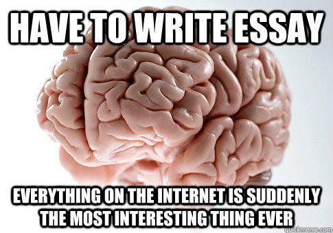 HAVE TO WRITE ESSAY EVERYTHING ON THE INTERNET IS SUDDENLY THE MOST INTERESTING THING EVER   Scumbag Brain