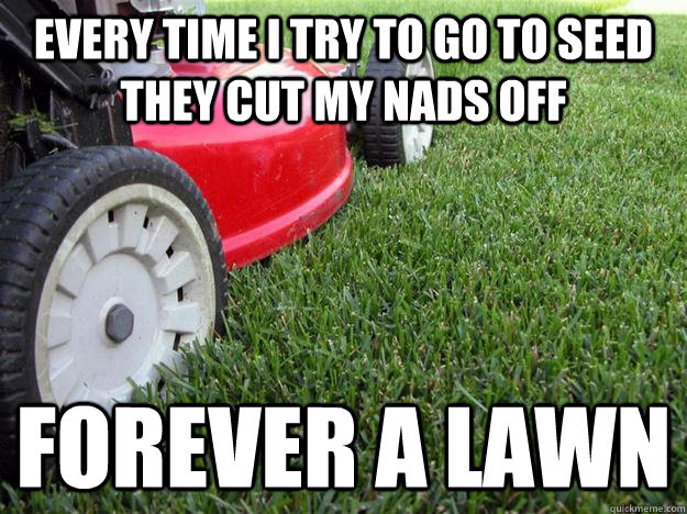 Every time I try to go to seed they cut my nads off forever a lawn - Every time I try to go to seed they cut my nads off forever a lawn  Forever a Lawn