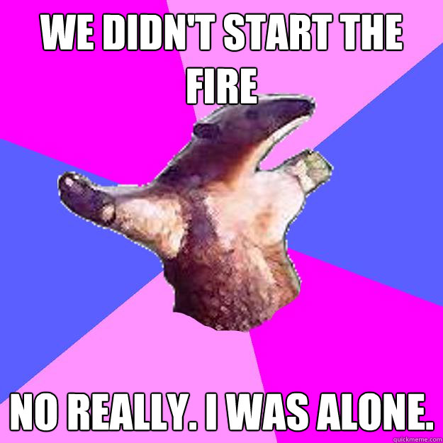 WE DIDN'T START THE FIRE NO REALLY. I WAS ALONE. - WE DIDN'T START THE FIRE NO REALLY. I WAS ALONE.  Property Damage Anteater