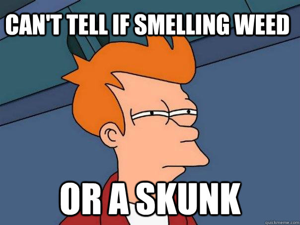 Can't tell if smelling weed or a skunk  Futurama Fry