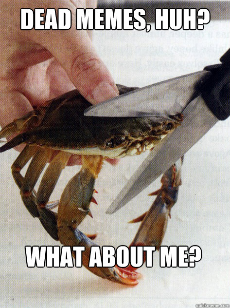 Dead memes, huh? What about me? Caption 3 goes here  Optimistic Crab