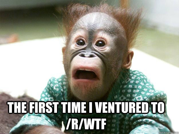 The first time I ventured to /r/wtf  The first time