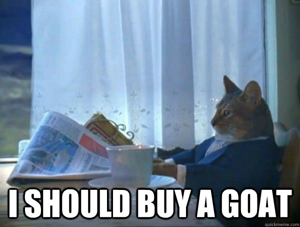  I SHOULD BUY A GOAT -  I SHOULD BUY A GOAT  morning realization newspaper cat meme