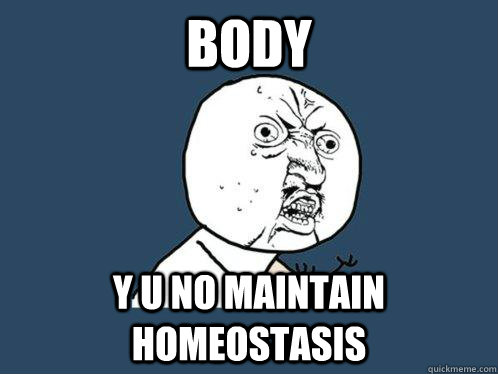 BODY y u no maintain homeostasis - BODY y u no maintain homeostasis  Y U No