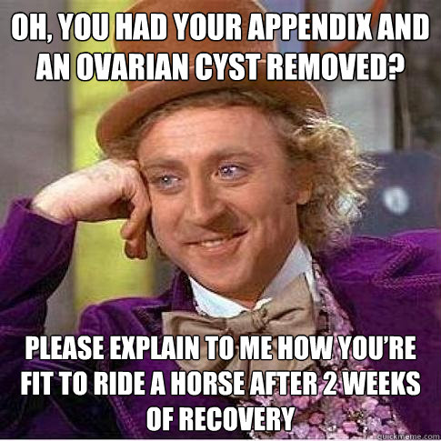 Oh, you had your appendix and an ovarian cyst removed?  Please explain to me how you’re fit to ride a horse after 2 weeks of recovery - Oh, you had your appendix and an ovarian cyst removed?  Please explain to me how you’re fit to ride a horse after 2 weeks of recovery  Condescending Willy Wonka