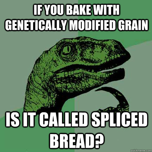 If you bake with genetically modified grain Is it called spliced bread?  Philosoraptor