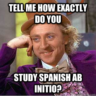 tell me how exactly do you study spanish ab initio?  Condescending Wonka