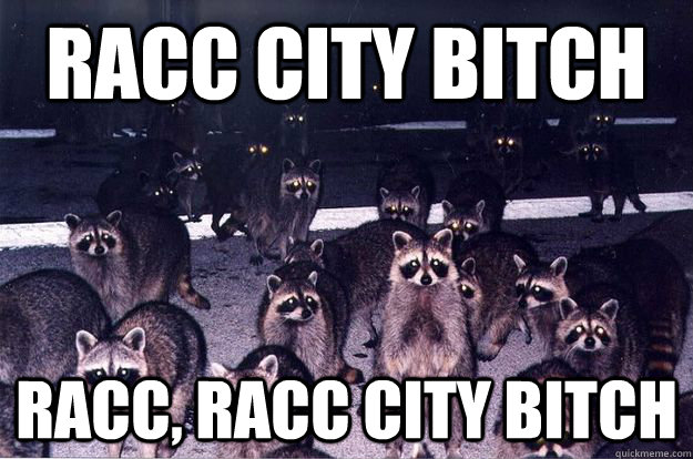 Racc City bitch Racc, Racc city bitch - Racc City bitch Racc, Racc city bitch  Rack City Raccoons