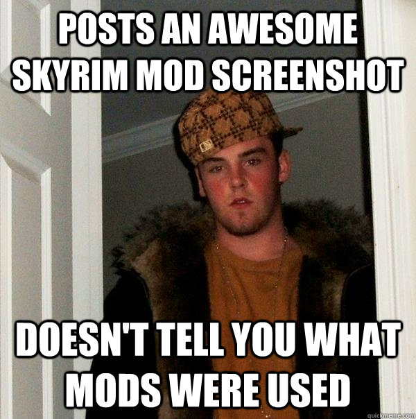 Posts an awesome Skyrim mod screenshot Doesn't tell you what mods were used  Scumbag Steve