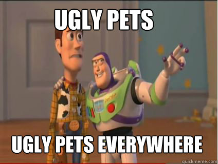 Ugly pets Ugly pets everywhere  woody and buzz