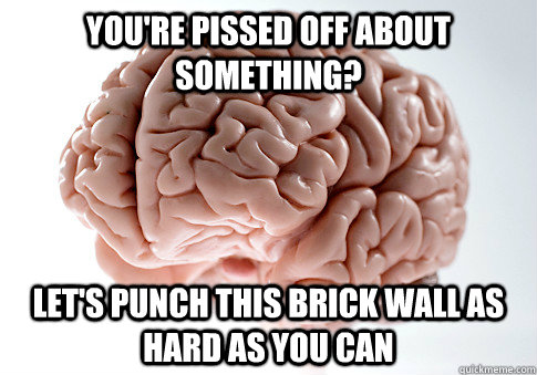 YOU'RE PISSED OFF ABOUT SOMETHING? LET'S PUNCH THIS BRICK WALL AS HARD AS YOU CAN   Scumbag Brain