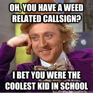 Oh, you have a weed related callsign? I bet you were the coolest kid in school  Condescending Wonka