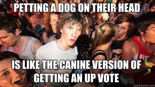 petting a dog on their head is like the canine version of getting an up vote  Sudden Clarity Clarence