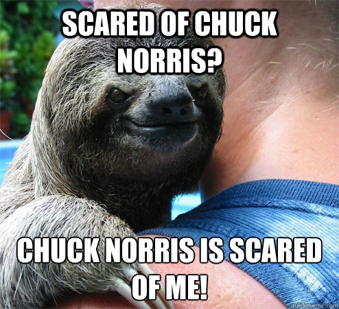 Scared of Chuck Norris? Chuck Norris is scared of me!
  Suspiciously Evil Sloth