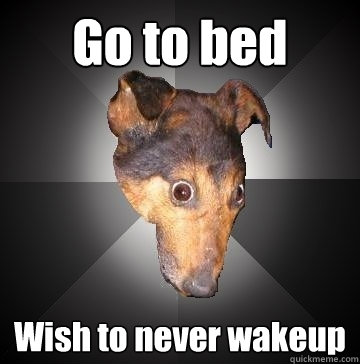 Go to bed Wish to never wakeup  Depression Dog