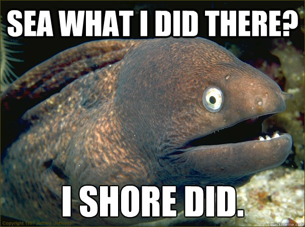 Sea what i did there? I Shore did.  Bad Joke Eel