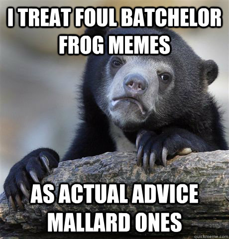 I treat foul batchelor frog memes As actual advice mallard ones  Confession Bear