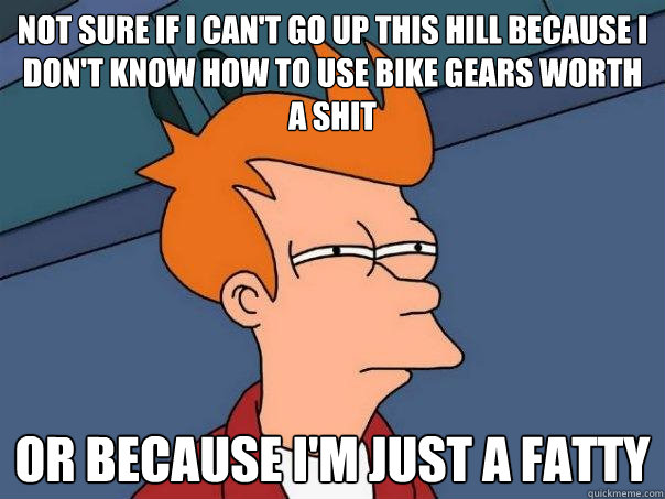 Not sure if I can't go up this hill because I don't know how to use bike gears worth a shit Or because I'm just a fatty  Futurama Fry