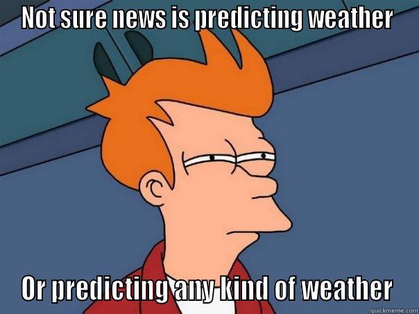 the predictors on the news - NOT SURE NEWS IS PREDICTING WEATHER OR PREDICTING ANY KIND OF WEATHER Futurama Fry