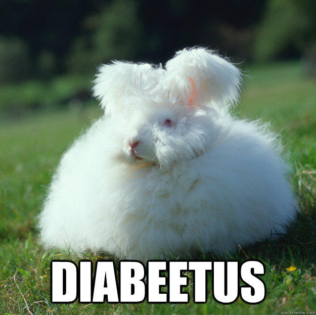  diabeetus  diabeetus bunny