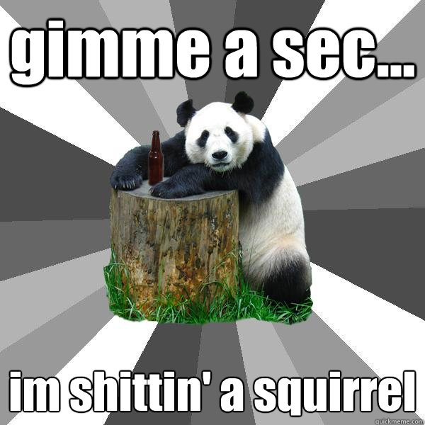 gimme a sec... im shittin' a squirrel - gimme a sec... im shittin' a squirrel  Pickup-Line Panda