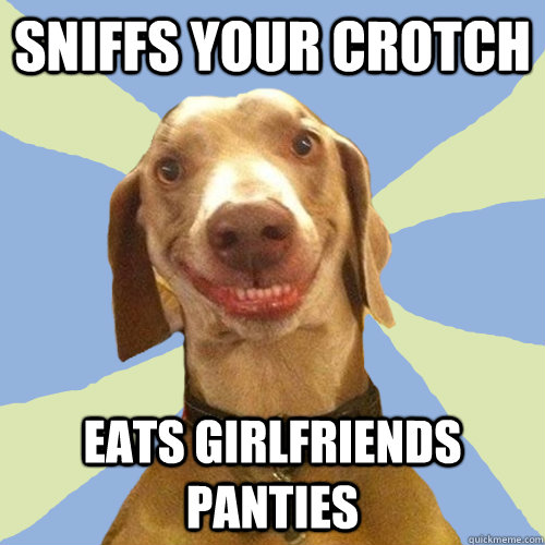 sniffs your crotch eats girlfriends panties  Disgusting Doggy