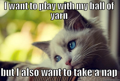 Nap or Yarn - I WANT TO PLAY WITH MY BALL OF YARN  BUT I ALSO WANT TO TAKE A NAP First World Problems Cat