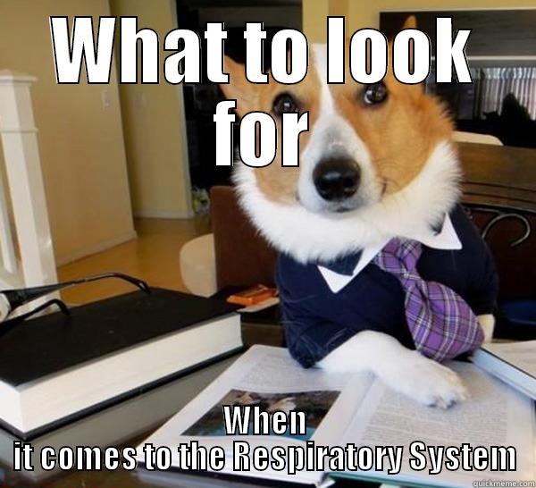 WHAT TO LOOK FOR WHEN IT COMES TO THE RESPIRATORY SYSTEM Lawyer Dog