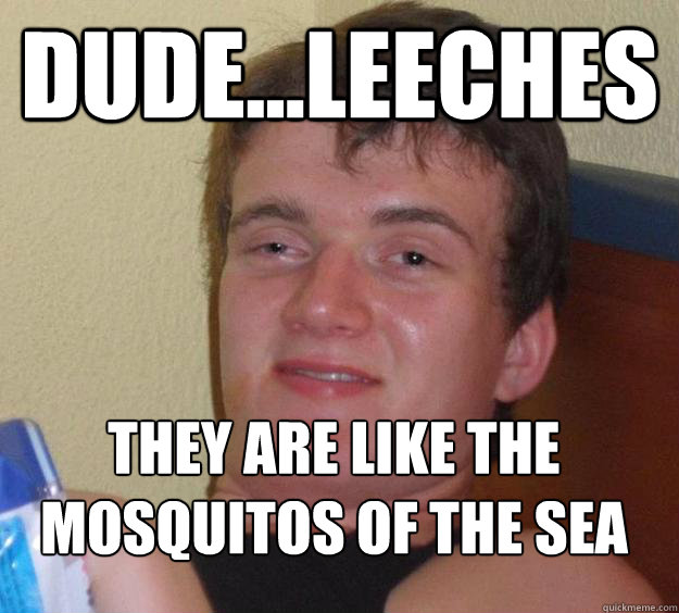 dude...Leeches they are like the mosquitos of the sea
  10 Guy