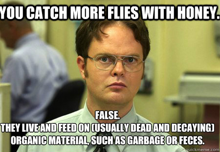 You catch more flies with honey. False.
they live and feed on (usually dead and decaying) organic material, such as garbage or feces.  - You catch more flies with honey. False.
they live and feed on (usually dead and decaying) organic material, such as garbage or feces.   Schrute