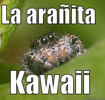 LA ARAÑITA   KAWAII Misunderstood Spider