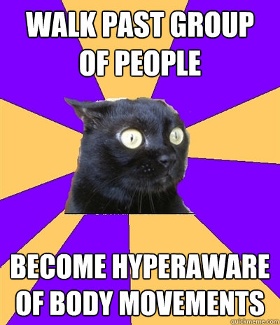 Walk past group of people become hyperaware of body movements  Anxiety Cat