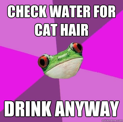 check water for cat hair drink anyway  Foul Bachelorette Frog