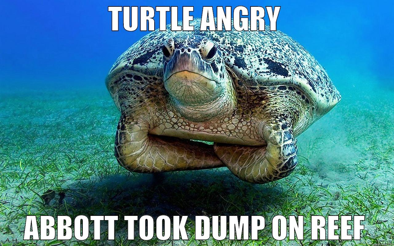 Angry Turtle - TURTLE ANGRY ABBOTT TOOK DUMP ON REEF Misc