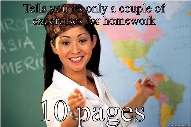 TELLS YOU ITS ONLY A COUPLE OF EXCERCISES FOR HOMEWORK 10 PAGES Scumbag Teacher