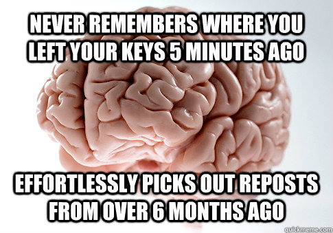never remembers where you left your keys 5 minutes ago effortlessly picks out reposts from over 6 months ago  Get the [AdviceAnimals Chrome extension!](http://www.livememe.com/extension)  Scumbag Brain