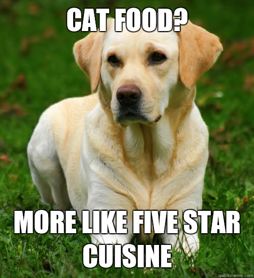 Cat food? More like five star cuisine  Dog Logic