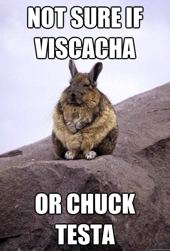 not sure if viscacha or chuck testa  Wise Wondering Viscacha