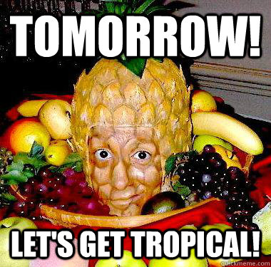 TOMORROW! Let's get tropical!  Pineapple