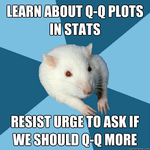 Learn about Q-Q plots in Stats Resist urge to ask if we should Q-Q more  Psychology Major Rat