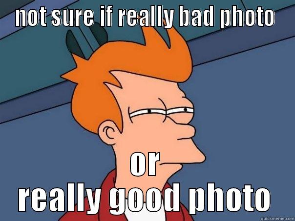 NOT SURE IF REALLY BAD PHOTO OR REALLY GOOD PHOTO Futurama Fry