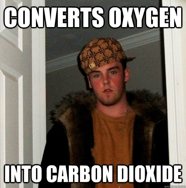 Converts oxygen Into carbon Dioxide  Scumbag Steve