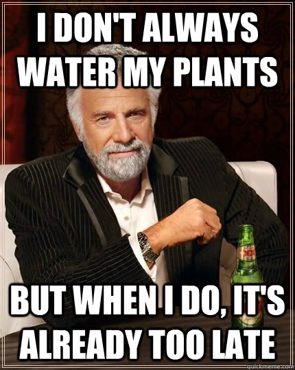 I don't always water my plants But when I do, it's already too late - I don't always water my plants But when I do, it's already too late  The Worlds Most Interesting Man