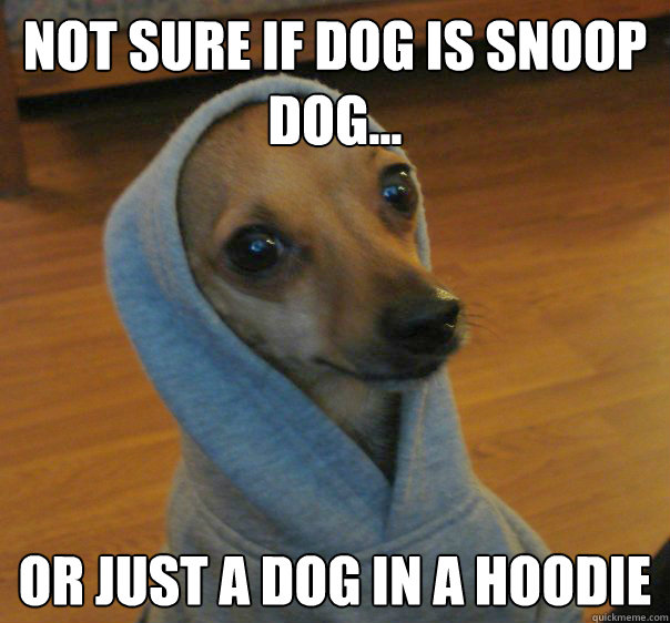 Not sure if dog is snoop dog... or just a dog in a hoodie - Not sure if dog is snoop dog... or just a dog in a hoodie  Drugdealerdog