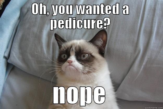 OH, YOU WANTED A PEDICURE? NOPE Grumpy Cat