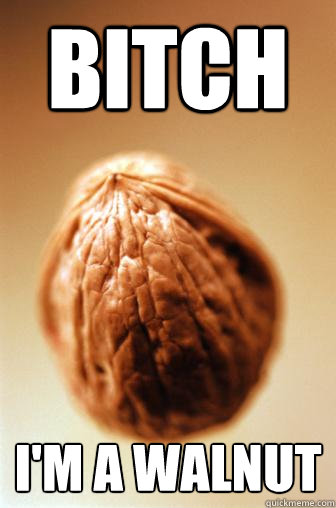 BITCH I'M A WALNUT  WALNUT