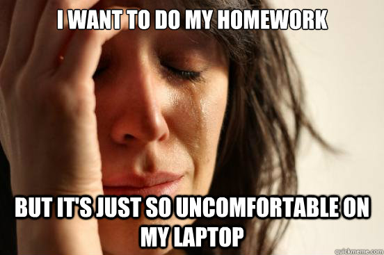 I WANT TO do my homework BUT It's just so uncomfortable on my laptop  First World Problems